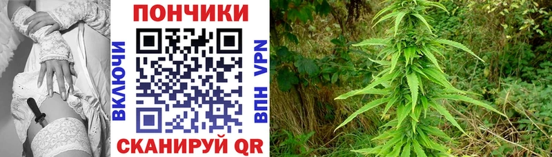кракен как зайти  Нижнеудинск  Марихуана планчик 